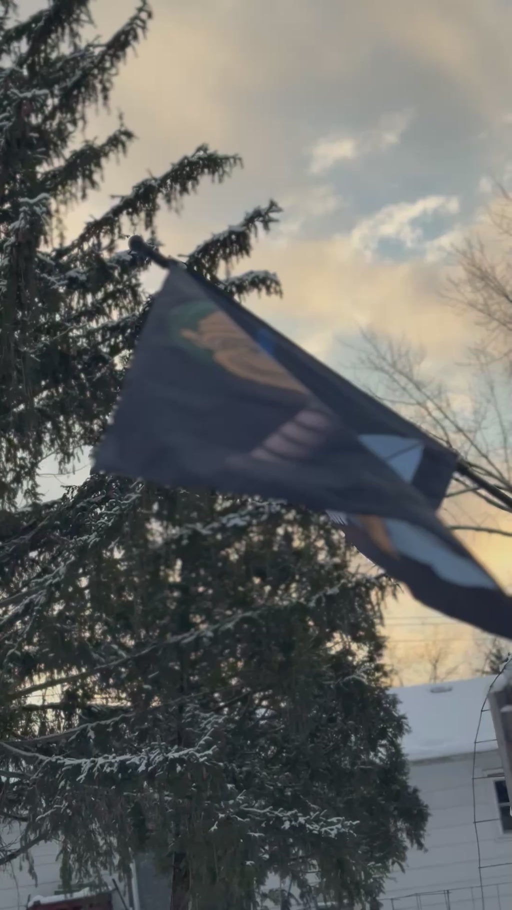 Jolly Link Flag