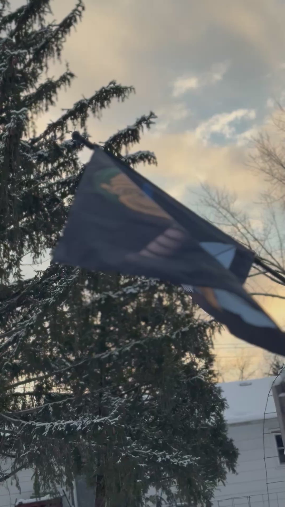 Jolly Link Flag